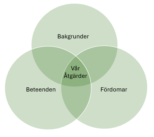 Venn-diagram över 3 B:n
